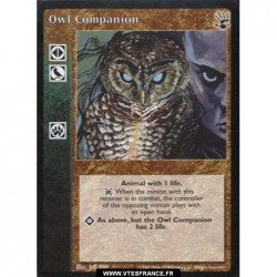 Owl Companion - Retainer /...