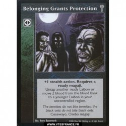 Belonging Grants Protection...