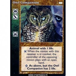 Owl Companion - Retainer /...